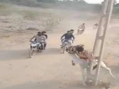 VIDEO | वेगात खांबाला धडकला आणि घोडेस्वारीची हौस पडली महागात