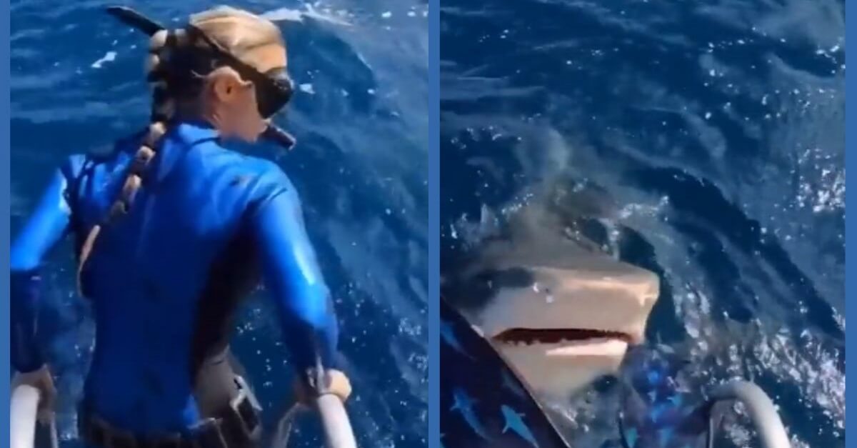 viral-video-woman-diving-ocean-nearly-dies-shark-came-open-mouth-watch