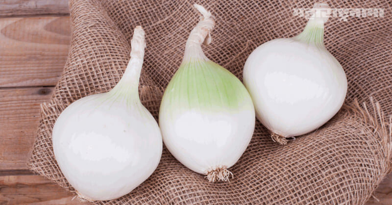 benefits of white onions