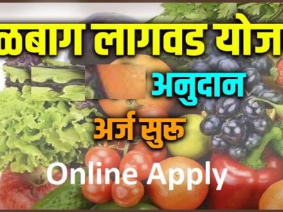 शेतकऱ्यांनो! फलोत्पादन योजना अंतर्गत अनुदान योजना सन 2020-21 | असा ऑनलाईन अर्ज करा